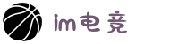 IM(股份有限公司)电竞-电子竞技平台